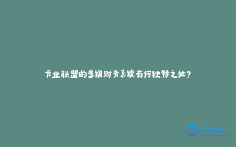 卡业联盟的多级财务系统有何独特之处?