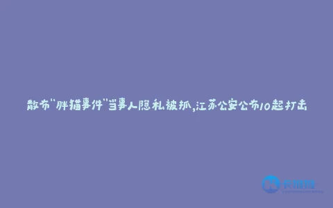 散布“胖猫事件”当事人隐私被抓,江苏公安公布10起打击网络谣言/暴力典型案例