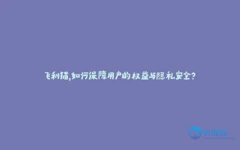 飞利猫,如何保障用户的权益与隐私安全?