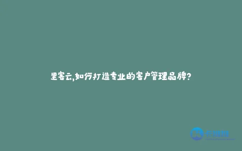 里客云,如何打造专业的客户管理品牌?