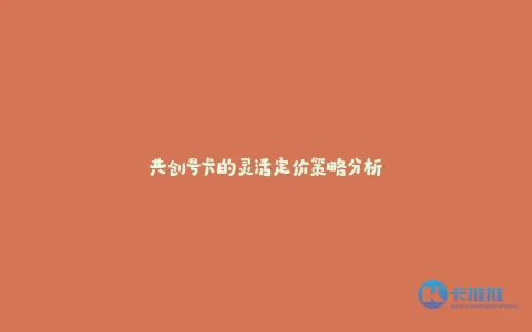 共创号卡的灵活定价策略分析