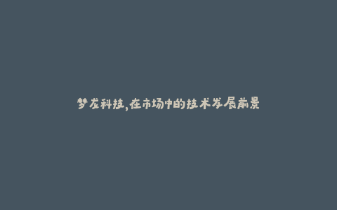 梦龙科技，在市场中的技术发展前景