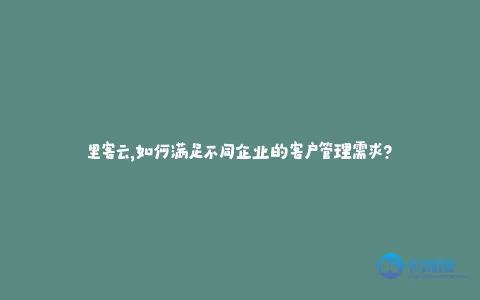 里客云,如何满足不同企业的客户管理需求?