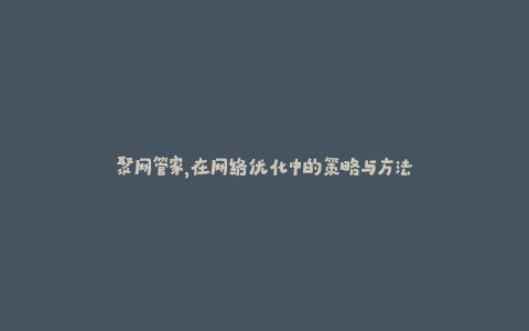 聚网管家，在网络优化中的策略与方法